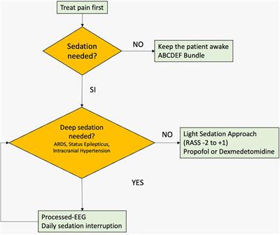 Seeking the Light in Intensive Care Unit Sedation: The Optimal Sedation Strategy for Critically Ill Patients